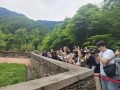 푸바오가 쏘아올린 韓 ‘쓰촨 관광’ 열기